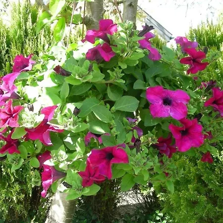 بيت للعطل Tolles In Gmina Mit Grill, Garten Und Terrasse